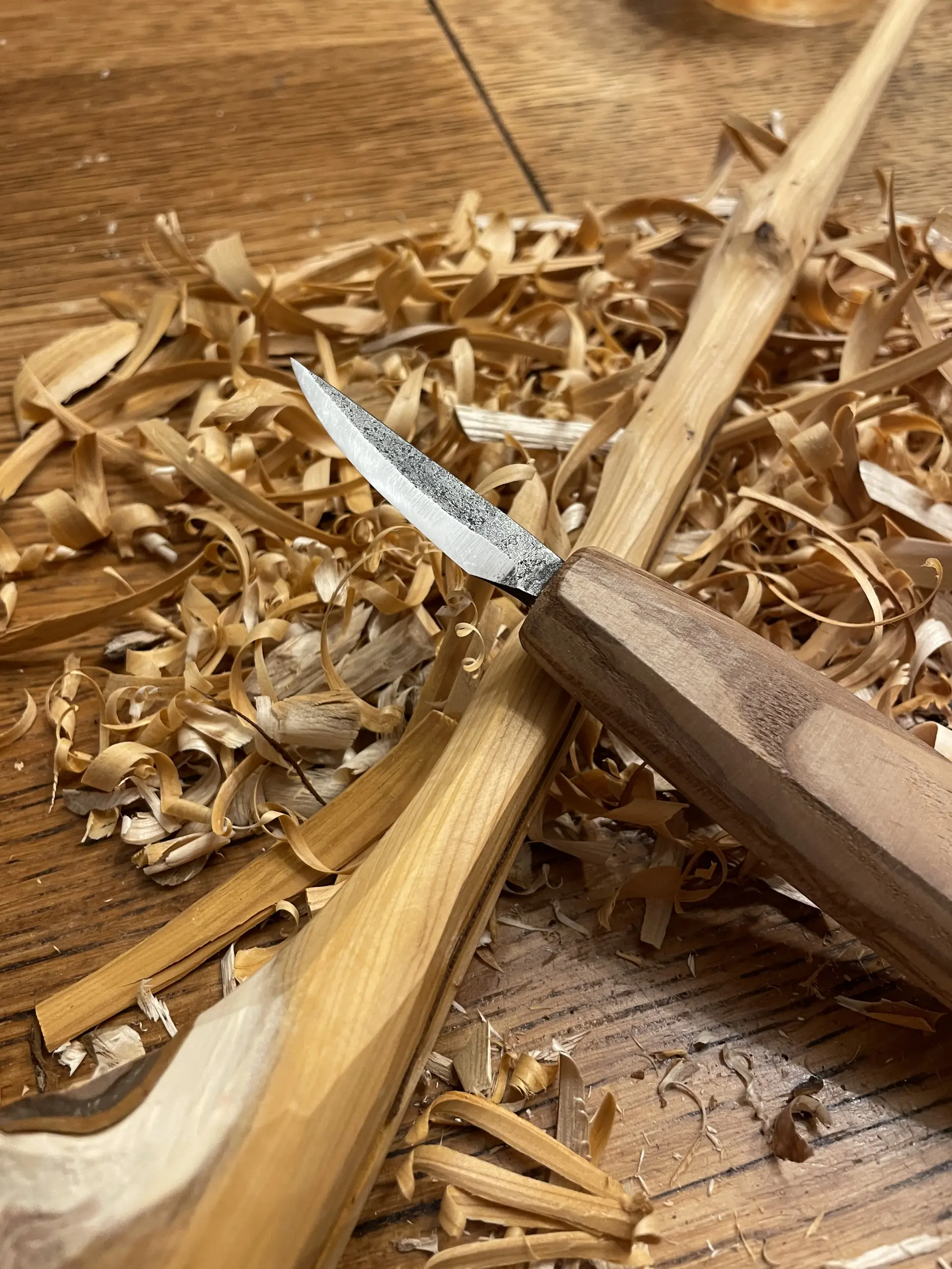 Slijpen van hout- en ander snijgereedschap - zaterdagavond 21 maart 2026