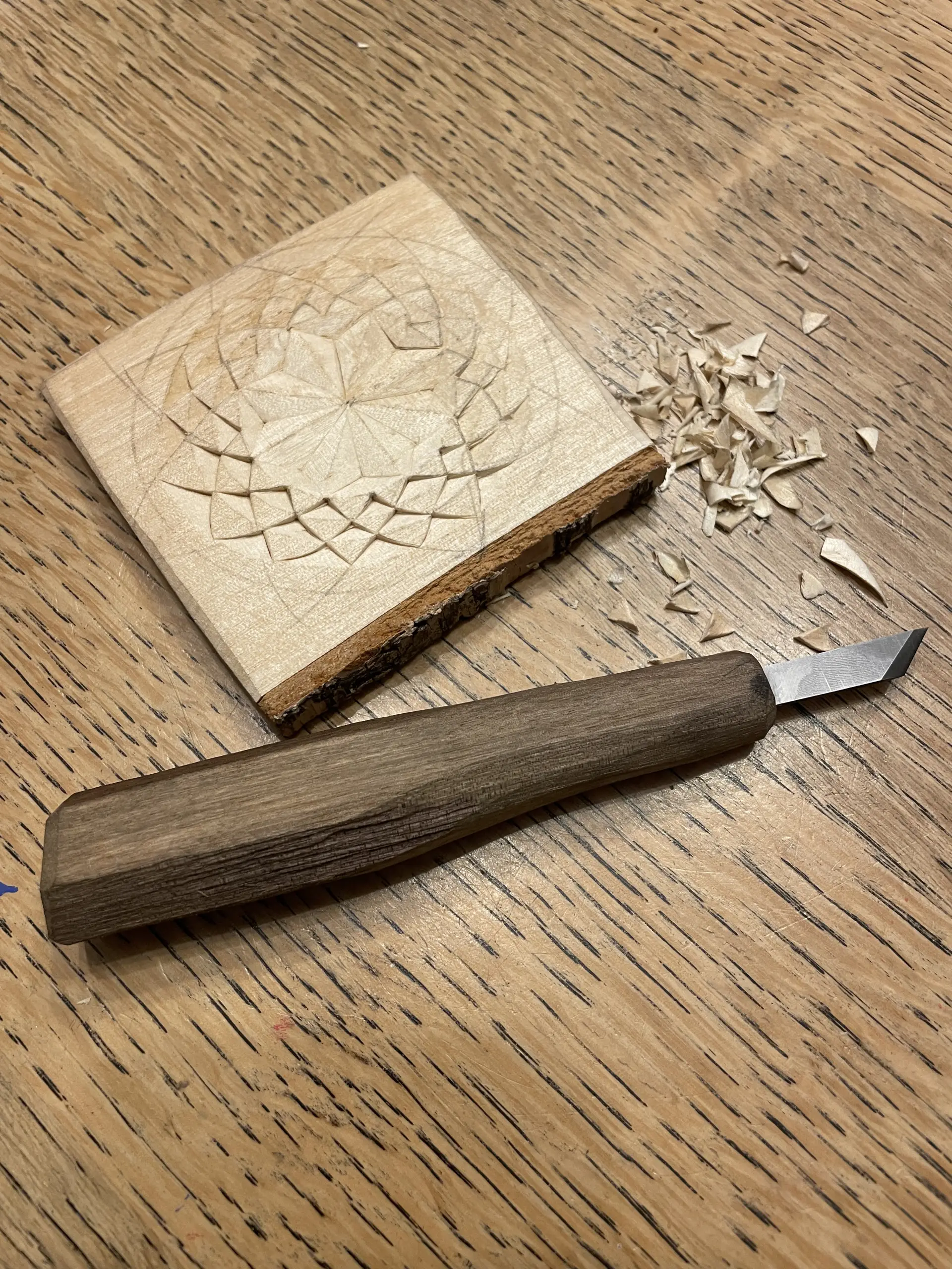 Individuele initiatie of masterclass - Afbeelding 7